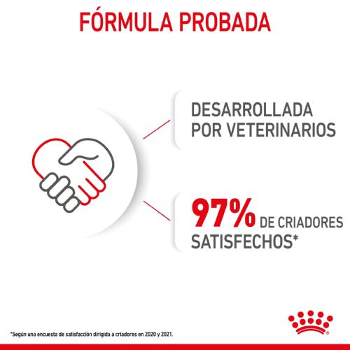 195 g Royal Canin Starter Mommy & Baby mousse latas para c&atilde;es, , large Imagem n&uacute;mero 8